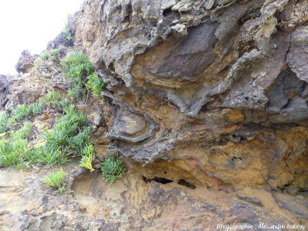 Détail de la minéralisation d'oxydes de fer de la plage de la Palue