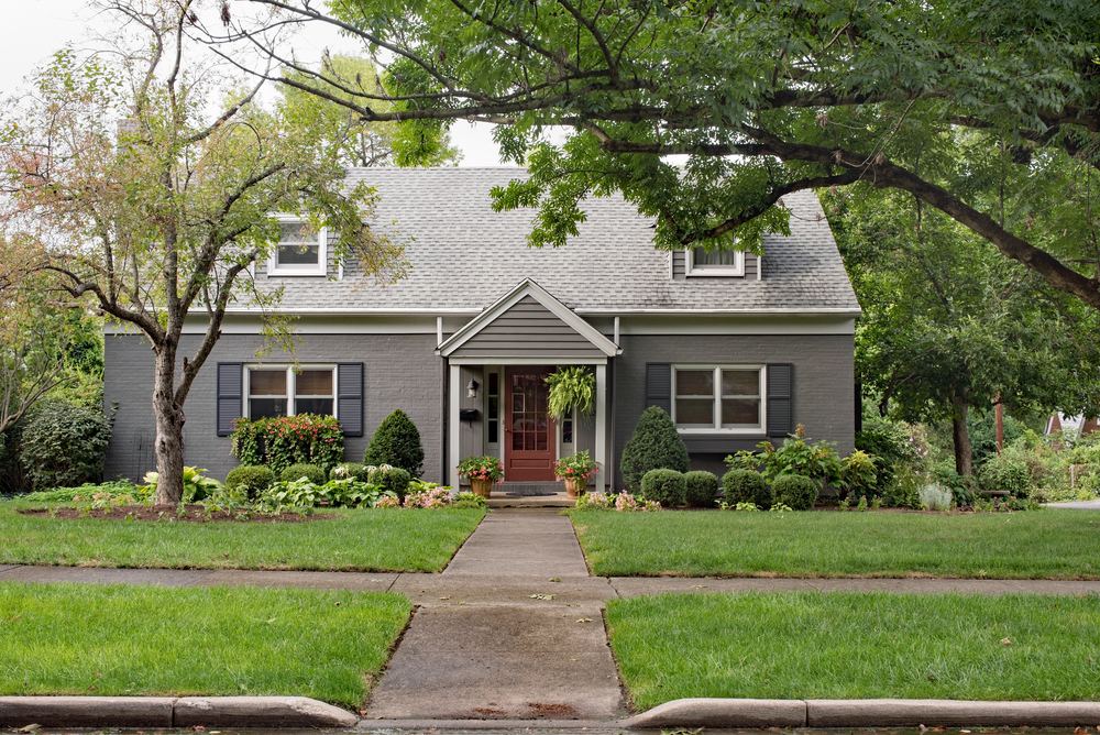 earthy gray home