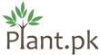 Plant.Pk