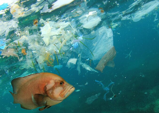 plastic pollution ocean