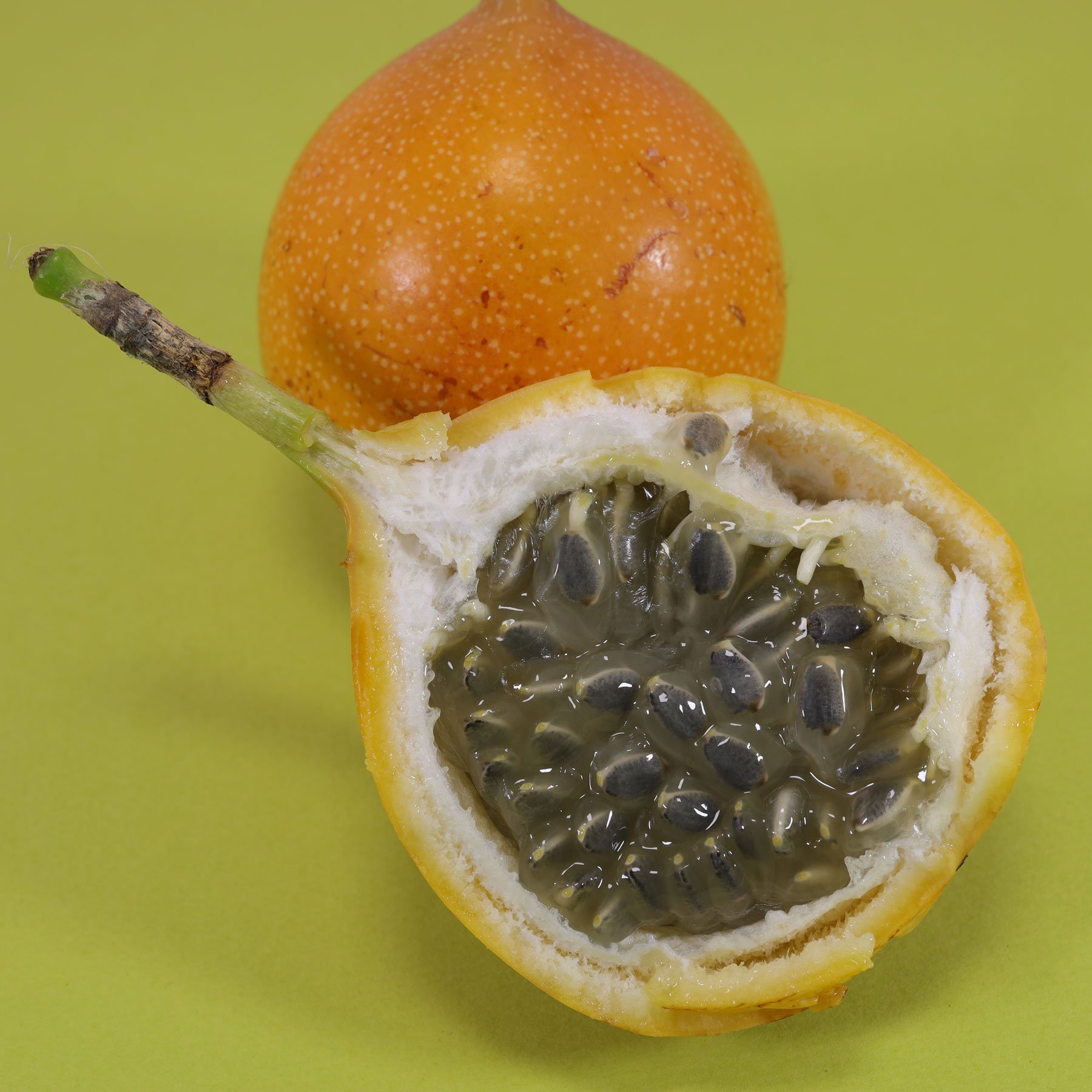 Granadilla