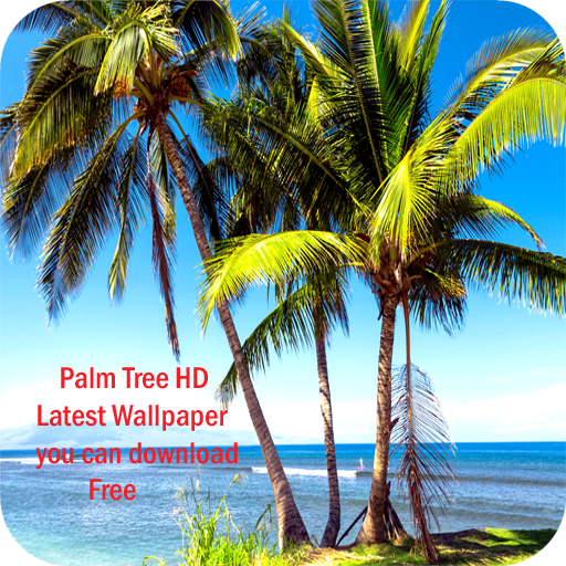 Palm Tree HD Latest Wallpaper Download on Windows