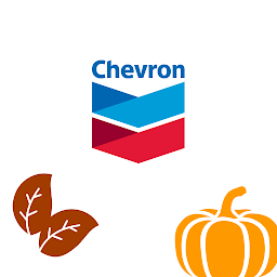 Icon image Chevron