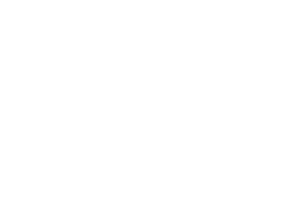 SalesForce, PlusPlus Case Study