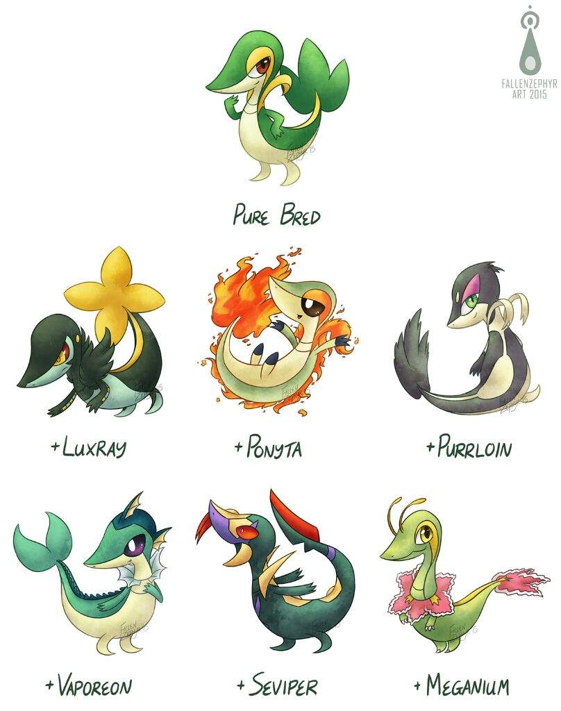 Pokemon Variations:Snivy | Pokémon Amino