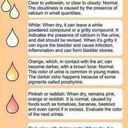 Urine Color Chart | Wiki | Guinea Pigs 🐹 Amino