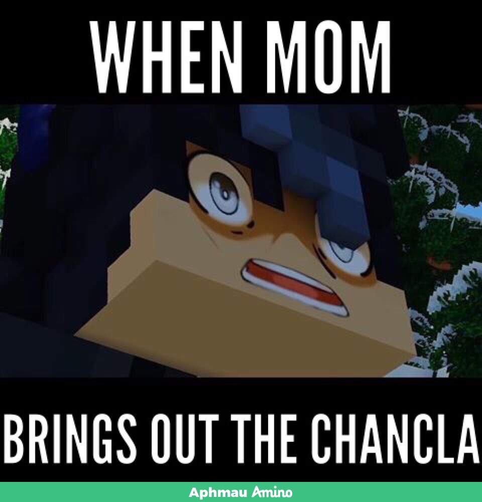 Quotes Camiecake Aphmau Aphmau Memes Aphmau Characters | Images and ...