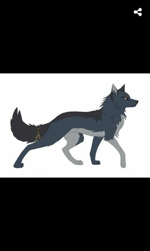 WOLFIE 🐺 | Wiki | Wolf Animation Amino 💜💙 Amino