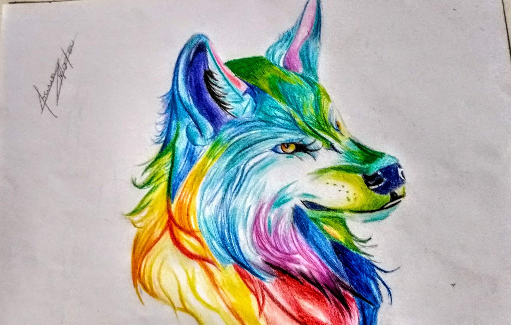 Lobo multicolor ┗(^0^)┓ | Arte Anime Amino Amino