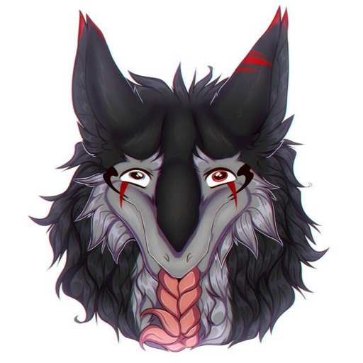 Latest | Sergal Amino Amino