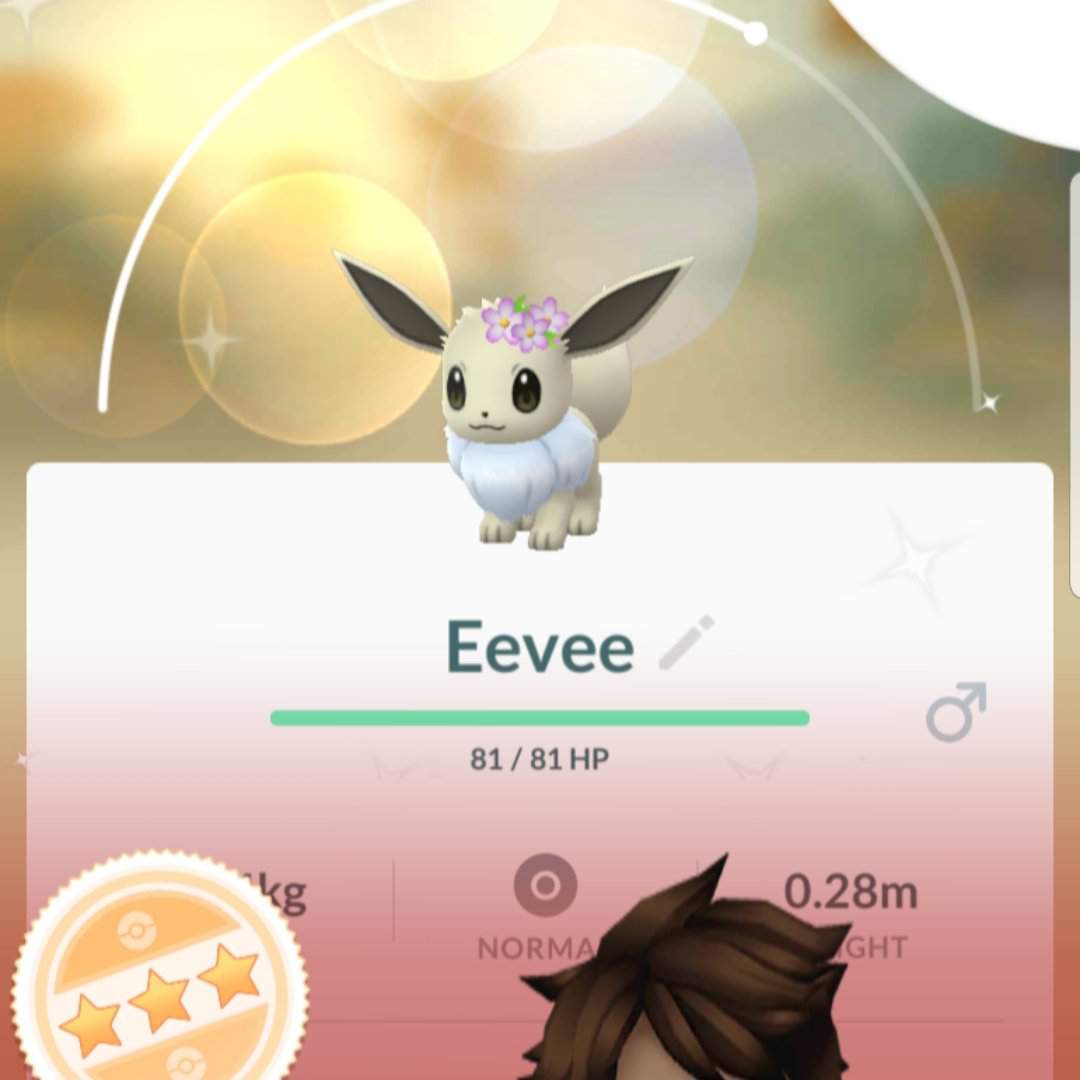 Shinee Eevee | Pokemon GO Amino