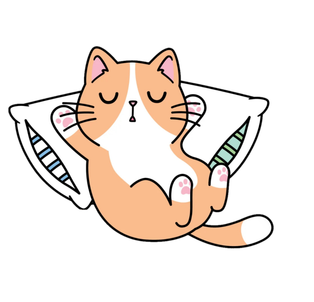 Cat PNG Transparent Images Free Download - Pngfre