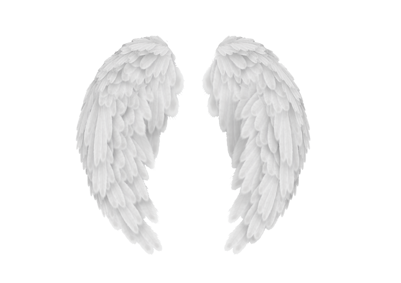 White angel wings PNG transparent image download, size: 1280x904px