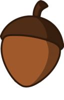 Acorn PNG image