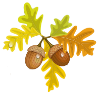 Acorn PNG image