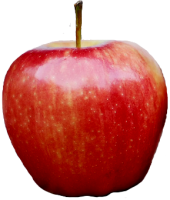 Apple PNG