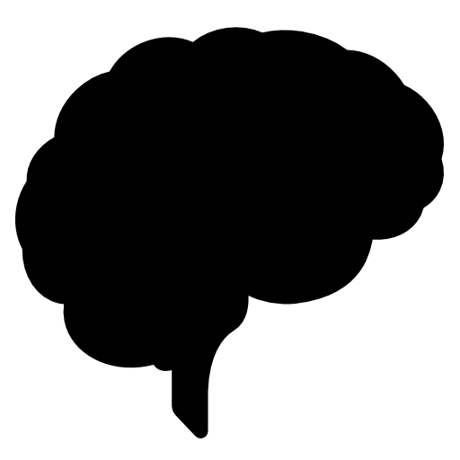 Brain PNG