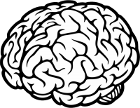 Brain PNG