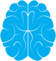 Brain PNG