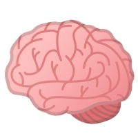 Brain PNG