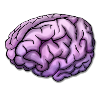 Brain PNG