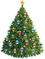 Christmas tree PNG