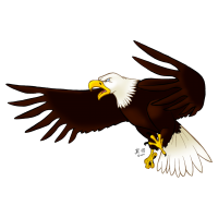 Eagle PNG image, free download