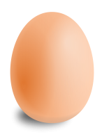 egg PNG