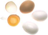 Eggs PNG