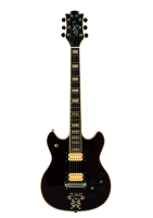 Electric guitar PNG