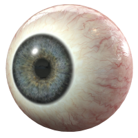 Eye PNG