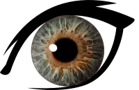 Eye PNG