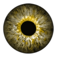 Eye PNG