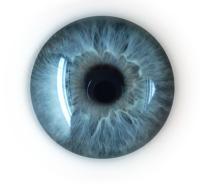 Eye PNG