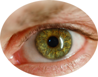 Eye PNG