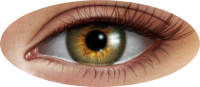 Eye PNG