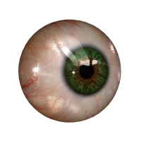 Eye PNG