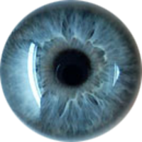 Eye PNG