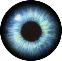 Eye PNG