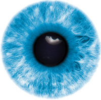 Eye PNG