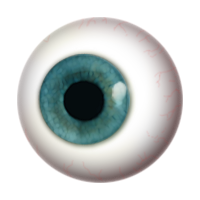 Eye transparent PNG image