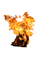 Fire PNG image