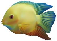 Fish PNG