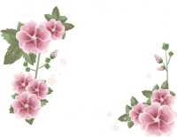 Floral frame PNG