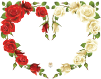 Floral frame PNG