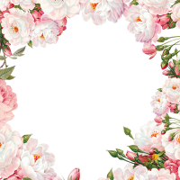 Floral frame PNG