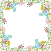 Floral frame PNG