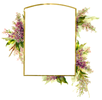 Floral frame PNG