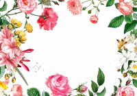 Floral frame PNG