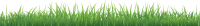 grass png image, green grass PNG picture